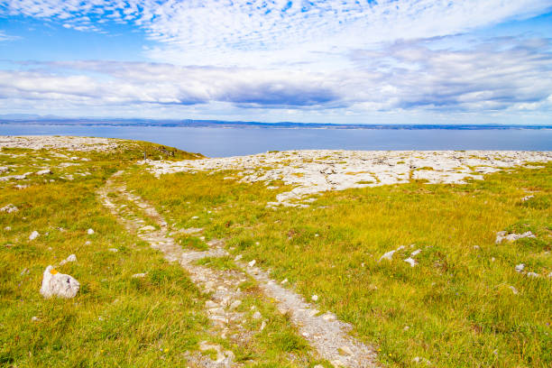 burren trail camino con galway bay en fondo - county clare the burren ballyvaughan stone fotografías e imágenes de stock