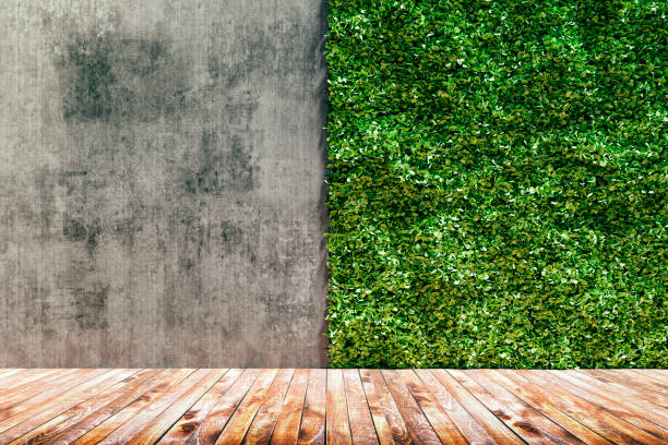 istock 3d render of green fresh vertical garden and concrete wall 1033216838