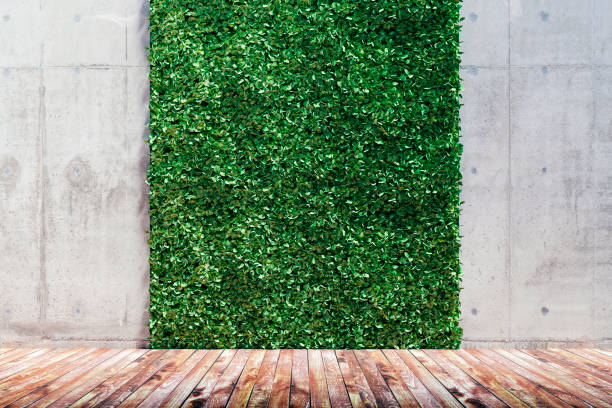 istock 3d render of green fresh vertical garden and concrete wall 1033216844