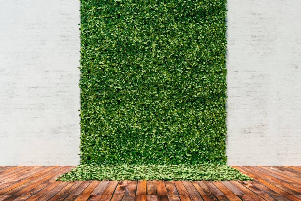 istock 3d render of green fresh vertical garden and concrete wall 1033216870