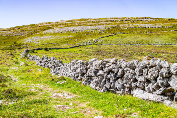 istock Farm fields with stone wall in Burren way trail 1033217200