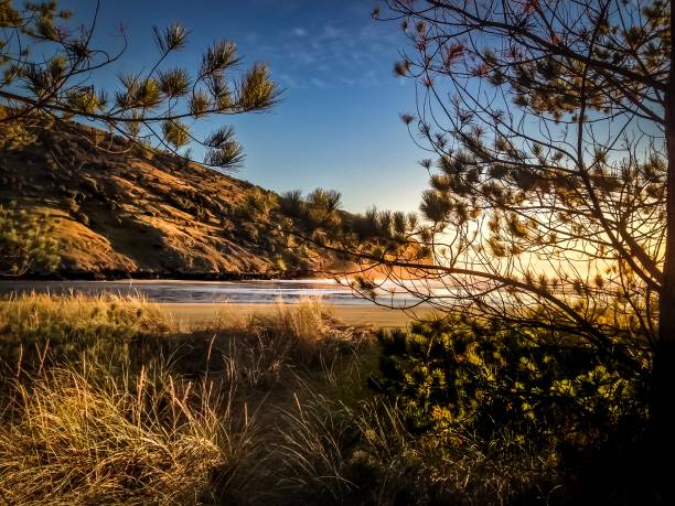 istock Okain’s Bay Banks Peninsula NZ 1033217630