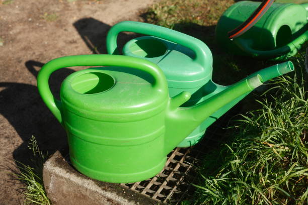 istock Green watering cans in a cemetery 1033219854