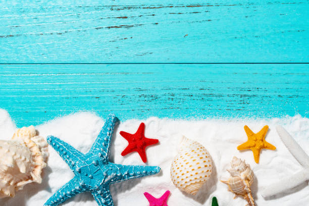 istock white sand and sea shells and starfishes as summer holidays concepts 1033220194