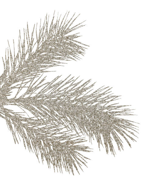 srebrna gałązka brokatu choinki - pine tree flash zdjęcia i obrazy z banku zdjęć