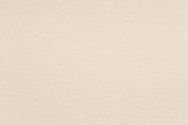 istock Water colour paper textured background in light white gray tone. 1033226172