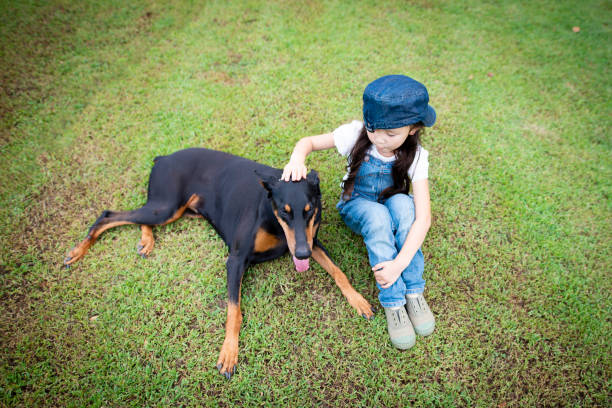 istock Girl and Doberman sit on the lawn 1033226574