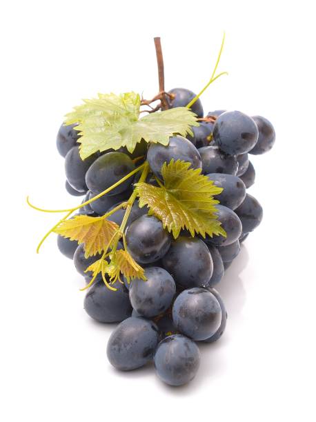 istock grapes with green leaf on white background 1033234034