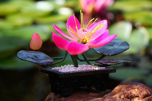 lotus ceramic figure garden