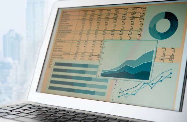 accounting financial report - spreadsheet financial figures computer computer monitor imagens e fotografias de stock