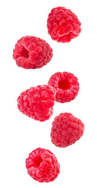 Falling raspberries isolated on a white background stock photo