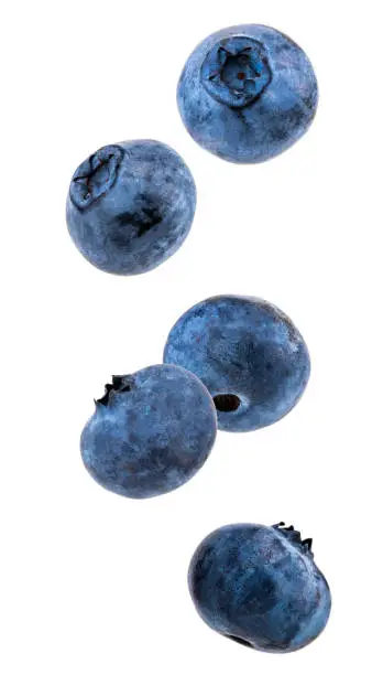 Falling blueberries isolated on a white background.