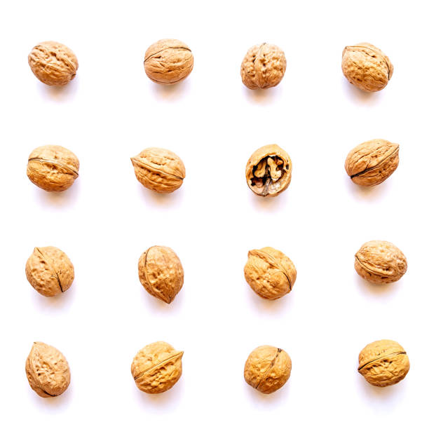 istock whole walnuts geometrical pattern with one cracked nut isolated on white 1033244830