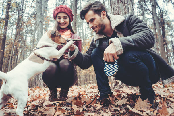 istock Woman and man walking their dog throwing a stick 1033244884