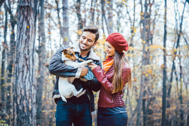 istock Couple in fall having walk with dog in a park 1033245172