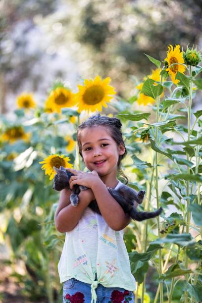 istock Cat, Girl and Sunflower 1033261354