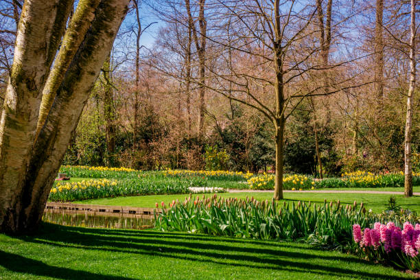 istock Beautiful  park. Landscaped Formal Garden 1033261586