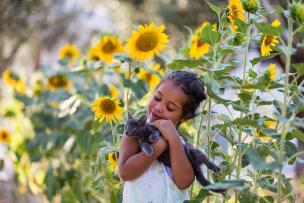 istock Cat, Girl and Sunflower 1033261792