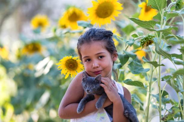 istock Cat, Girl and Sunflower 1033261816