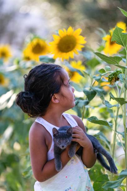 istock Cat, Girl and Sunflower 1033264016