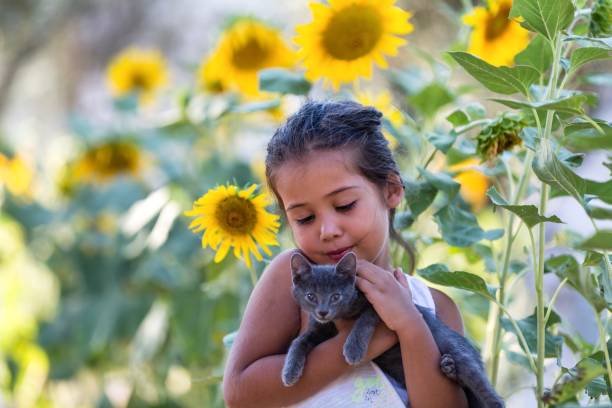 istock Cat, Girl and Sunflower 1033264196