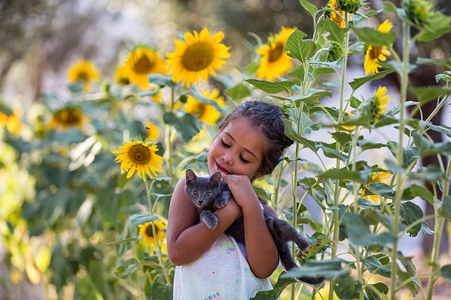 Cat, Girl and Sunflower