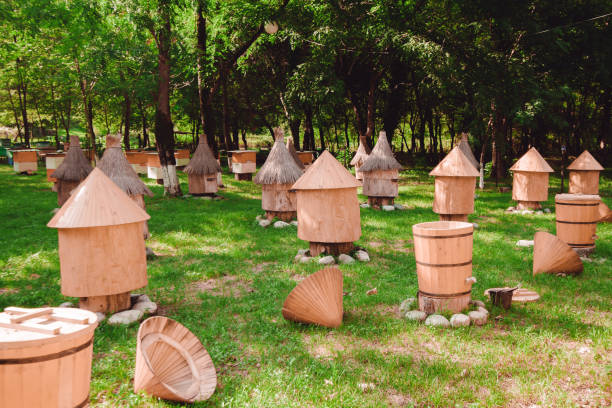 ruche en bois, de l’agriculture apiculture - skelter photos et images de collection