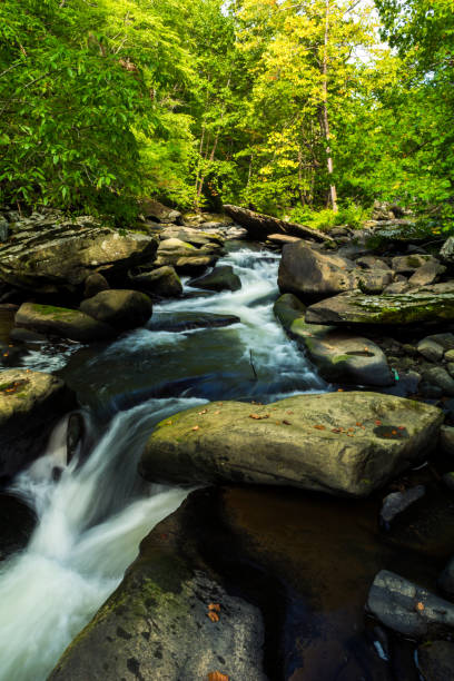 istock Flowing Through the Guest River Gorge 1033267882