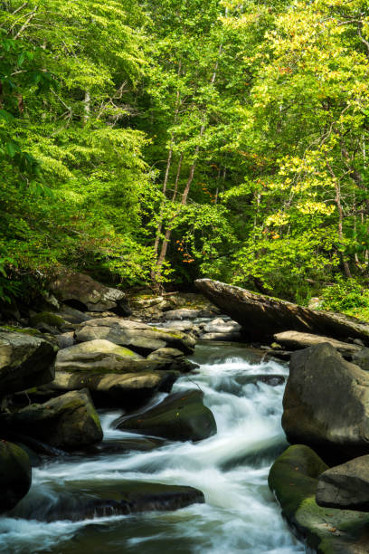istock Flowing Through the Guest River Gorge 1033267904