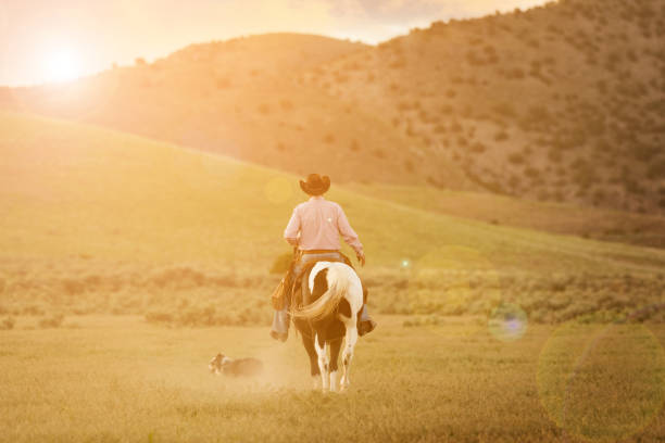 istock Cowboy on horse, dust. Real people. With dog 1033267938