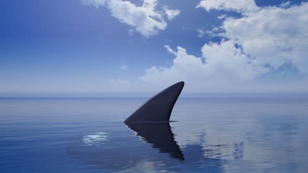 istock 3D rendering of shark fin above water, with blue sky background. 1033273924