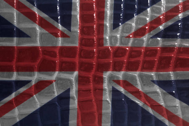 istock British flag on a snake skin leather texture 1033284154