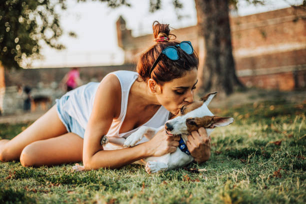 istock Great love between dog and woman. 1033284166