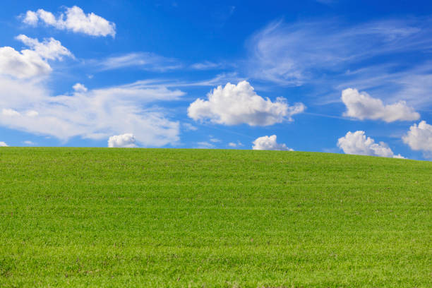 istock Grassy hill with blue sky and clouds in the background 1033284308