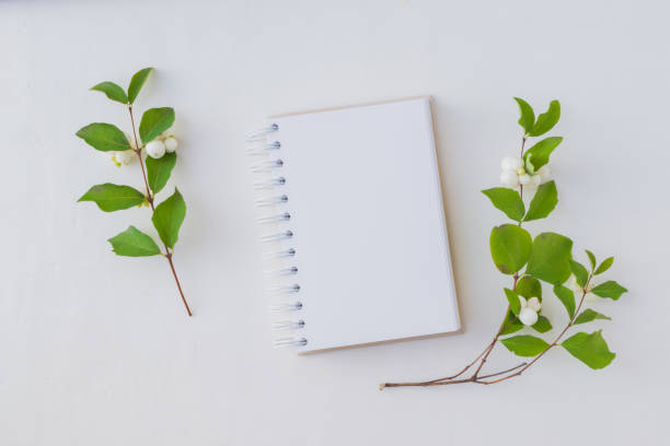 istock Mockup notebook and branch with green leaves 1033284906