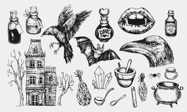 萬聖節設置與 hanted 房子, 烏鴉, 藥水, 蝙蝠, 吸血鬼的嘴。手繪插圖轉換為向量 - 女巫 插圖 幅插畫檔、美工圖案、卡通及圖標