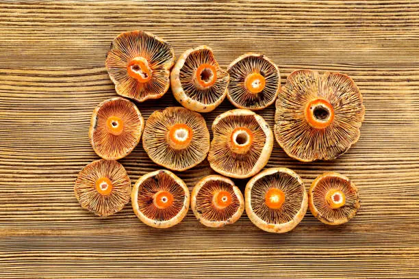 Saffron milk cap on a wooden table lay flat. Background, texture with space for copying. Rare mushrooms, rarity and delicacy in Polish mountains.