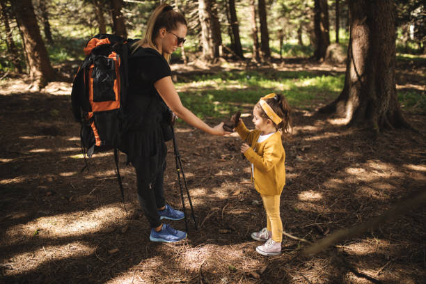 istock Mother and daughter collecting pine cones while hiking 1033298504