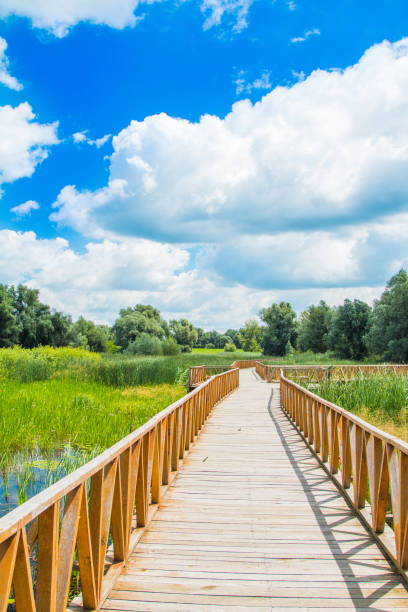 istock Kopacki rit Slavonia, Croatia 1033299004