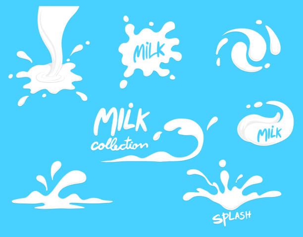 milchspritzer sammlung, set, vektor, klarer hintergrund - milch stock-grafiken, -clipart, -cartoons und -symbole