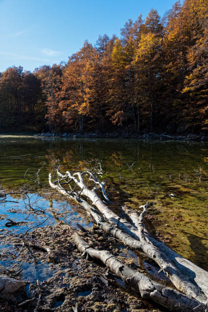 istock Alpine lake in Greece 1033306722