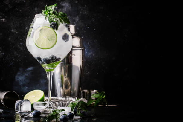 cocktail alcolico estivo mojito ai mirtilli con rum, menta verde, lime e ghiaccio tritato, attrezzi da bar - acqua tonica foto e immagini stock