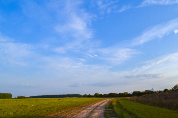 istock Summer landscape. Field and sky with clouds. Russia. Evening 1033307602