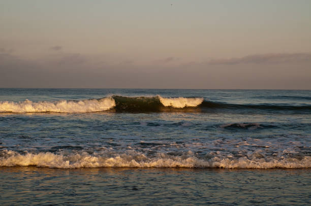 istock Pacific ocean waves in the early morning sunlight 1033310270