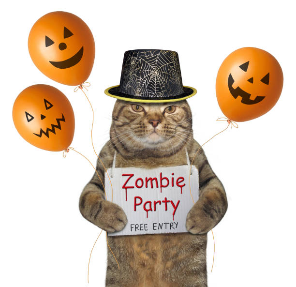 istock Cat in a hat with halloween balloons 1033318142