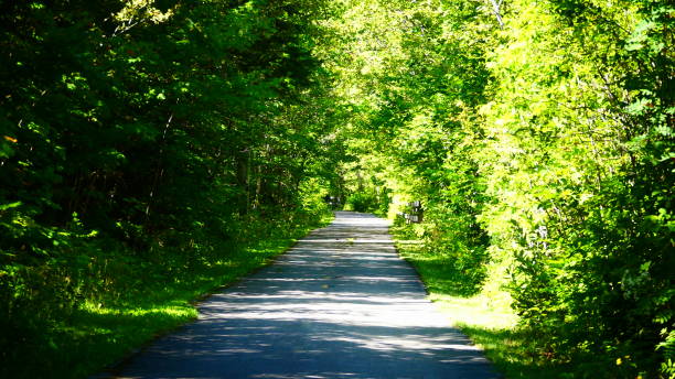 istock Bike path in green vegetation 1033324084
