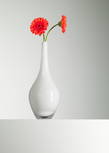 Minimalist interior decor with ceramic vase and dry plant, minimal boho neutral 3d rendering aesthetic background