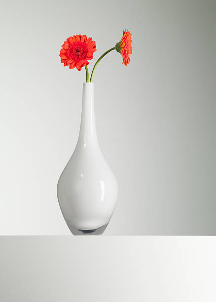 Orange gerbera daisies in vase  vase stock pictures, royalty-free photos & images