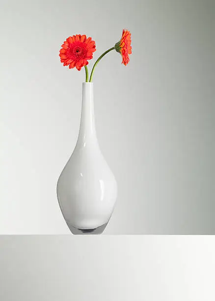 Photo of Orange gerbera daisies in vase