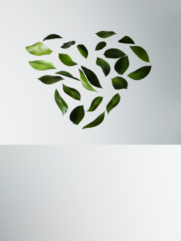 tree leaves heart - concept of bioenergy